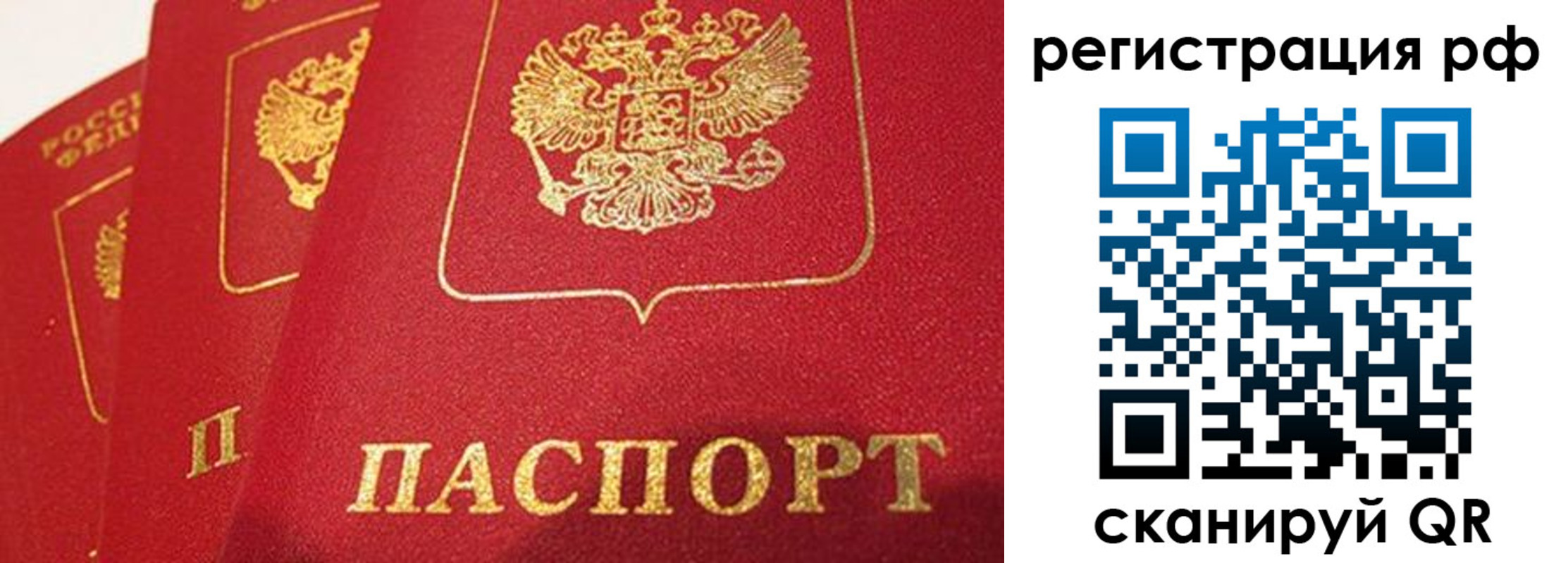 прописка поиск в Пласте